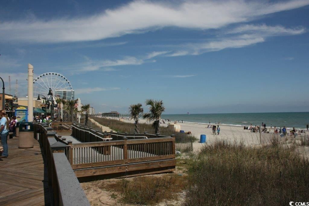 169 River Birch Dr. Photo 38