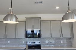 169 River Birch Dr. photo 4