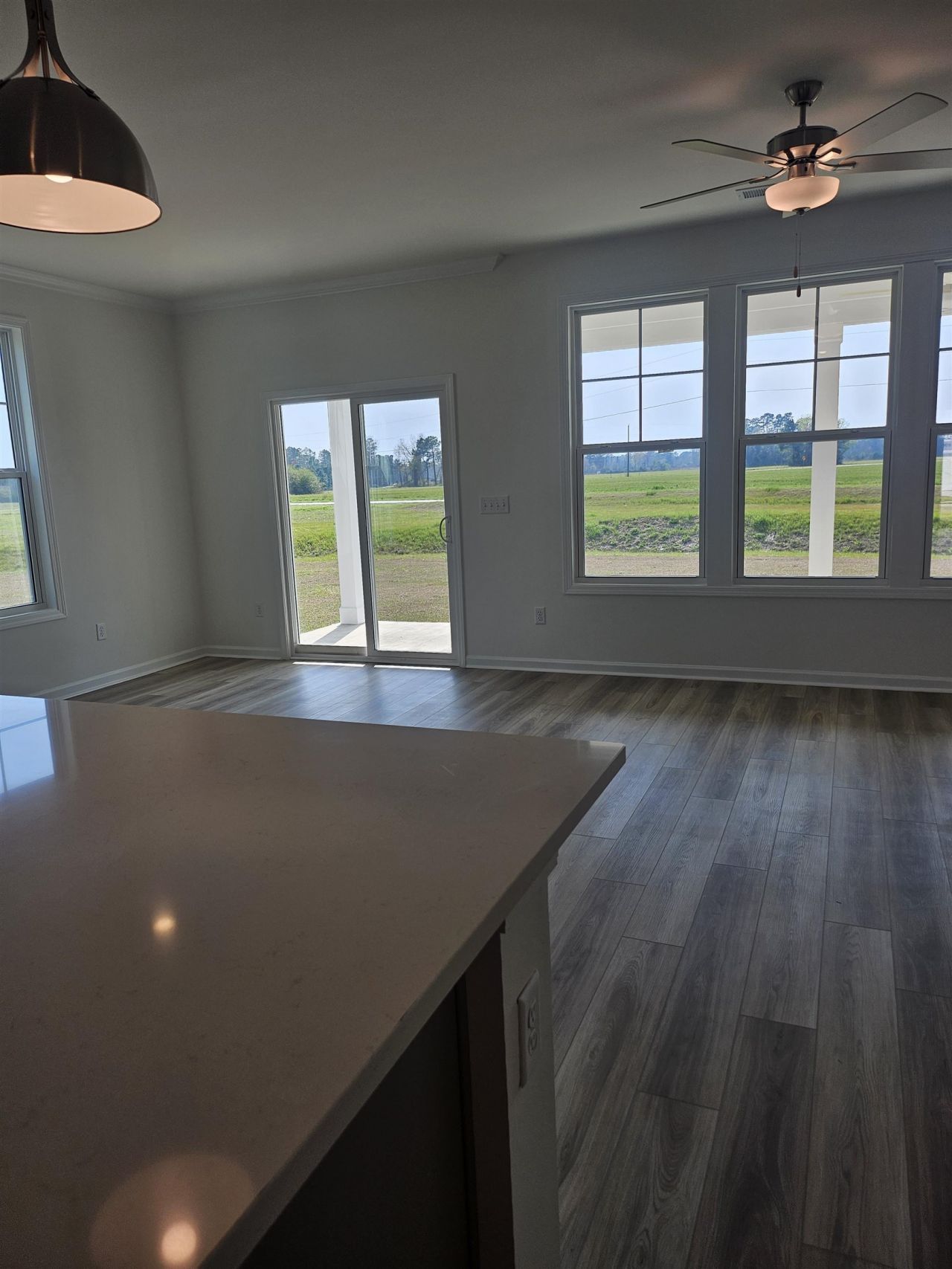 169 River Birch Dr. Photo 6