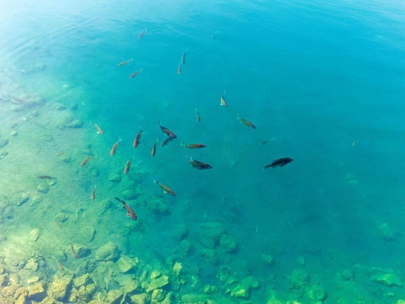 6247 State Route 61, Shelby, OH 44875 Photo 65