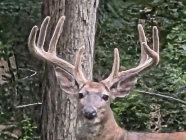 N8720 County CX Road, Portage, WI 53901