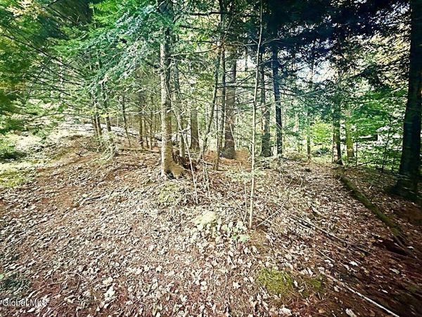 L31 Clarkson Road, Chestertown, NY 12817