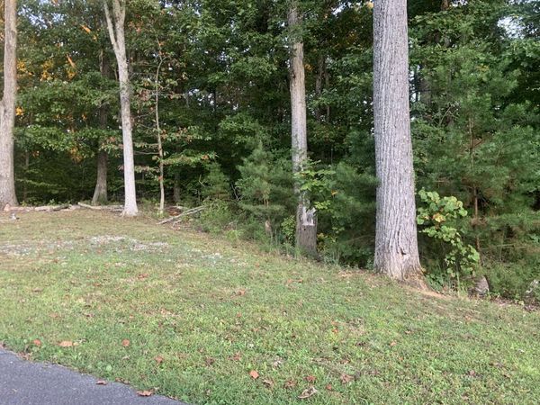 Lot 1223 Rebel Place, White Pine, TN 37890
