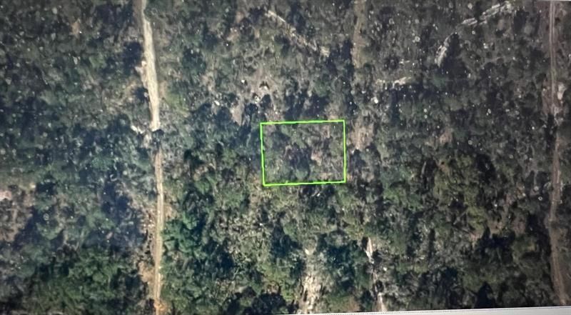248 Suwanner Drive, Lake Placid, FL 33852 Photo