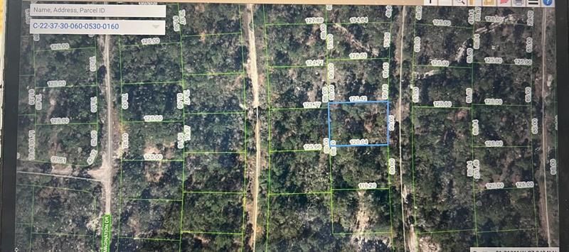 248 Suwanner Drive, Lake Placid, FL 33852 Photo