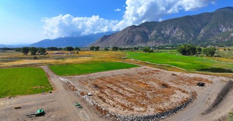 2460 Deerhaven, Minden, NV 89423 Photo