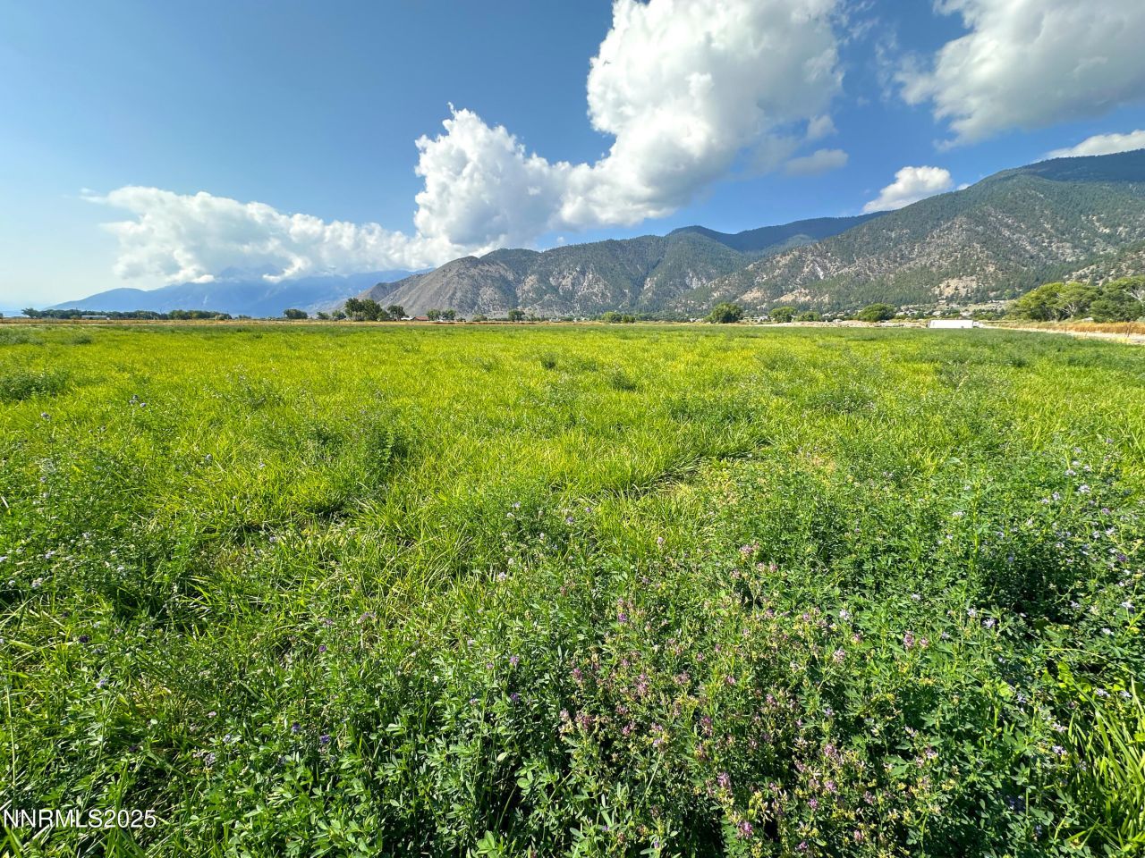 2460 Deerhaven, Minden, NV 89423 Photo