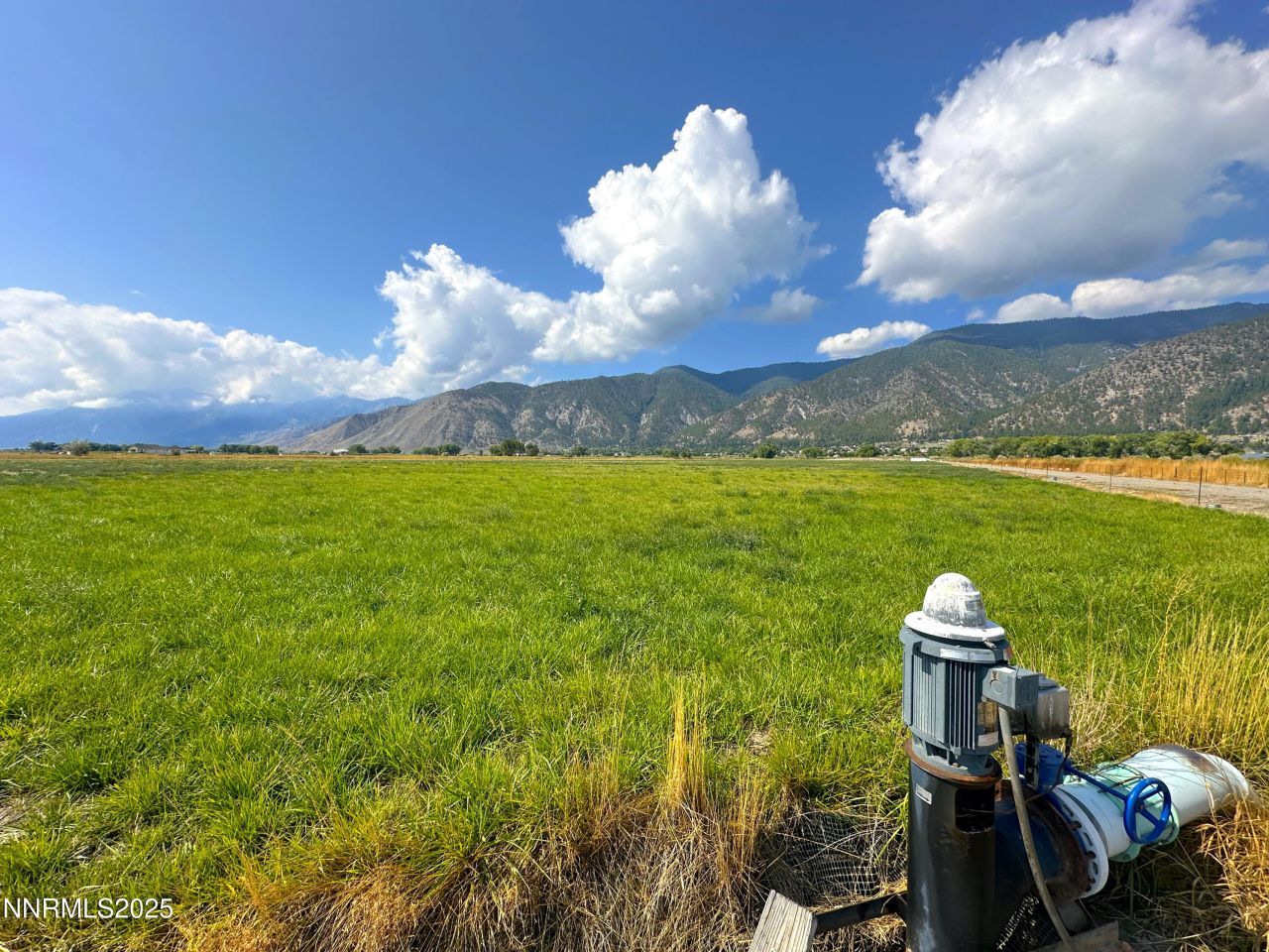 2460 Deerhaven, Minden, NV 89423 Photo