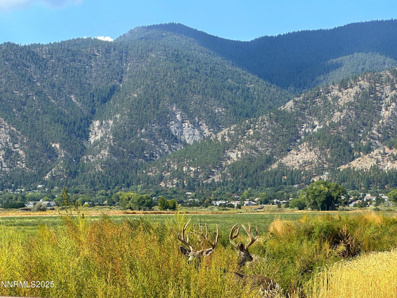 2460 Deerhaven, Minden, NV 89423 Photo