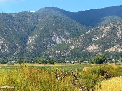 2460 Deerhaven, Minden, NV 89423 Photo