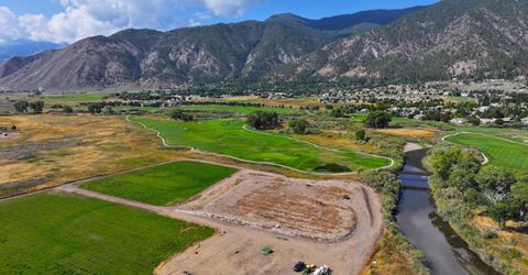 2460 Deerhaven, Minden, NV 89423 Photo