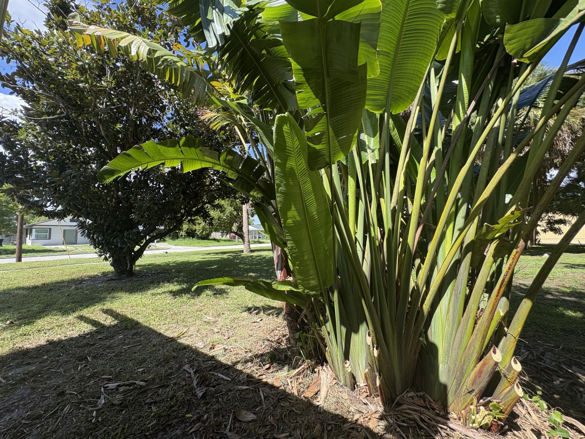 1010 Mayflower Road, Fort Pierce, FL 34950 Photo