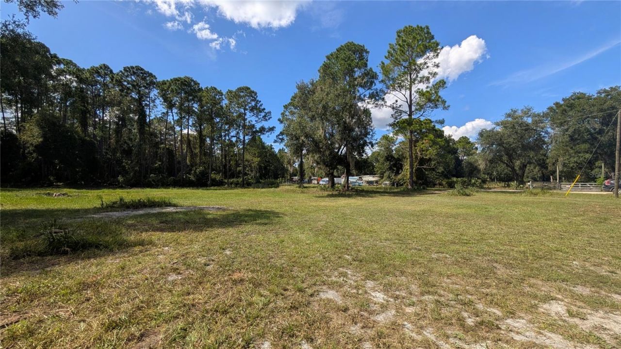 Please Call For Address, Georgetown, FL 32139 Photo