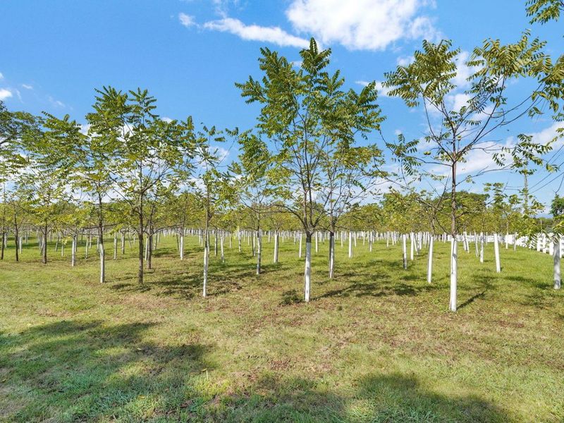 4025 Dublin Road, Columbus, OH 43221 Photo 73