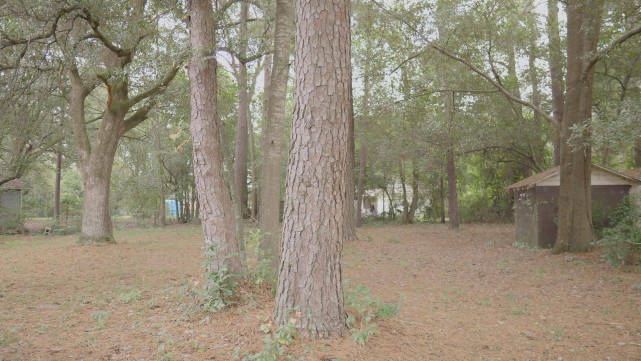 109 Bishop Street Photo 38