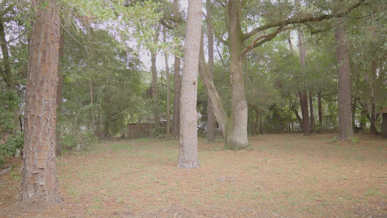 109 Bishop Street Photo 44