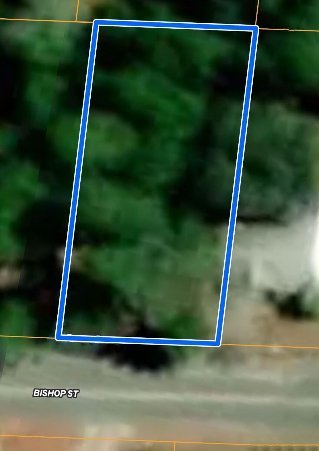 109 Bishop Street Photo 47