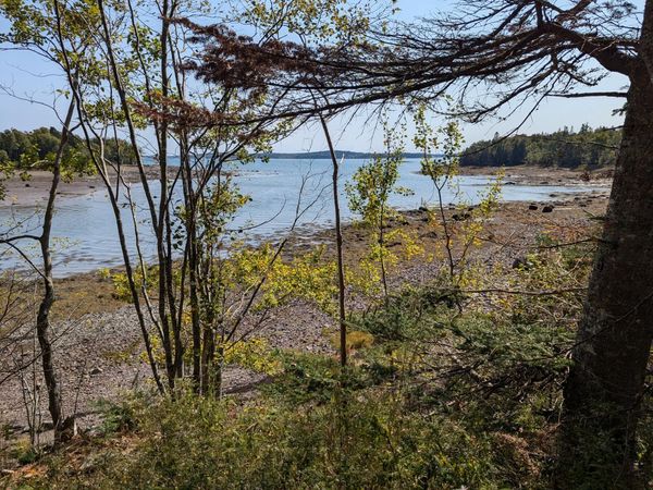 L1-1,2,3,4 Birch Point Road, Perry, ME 04667