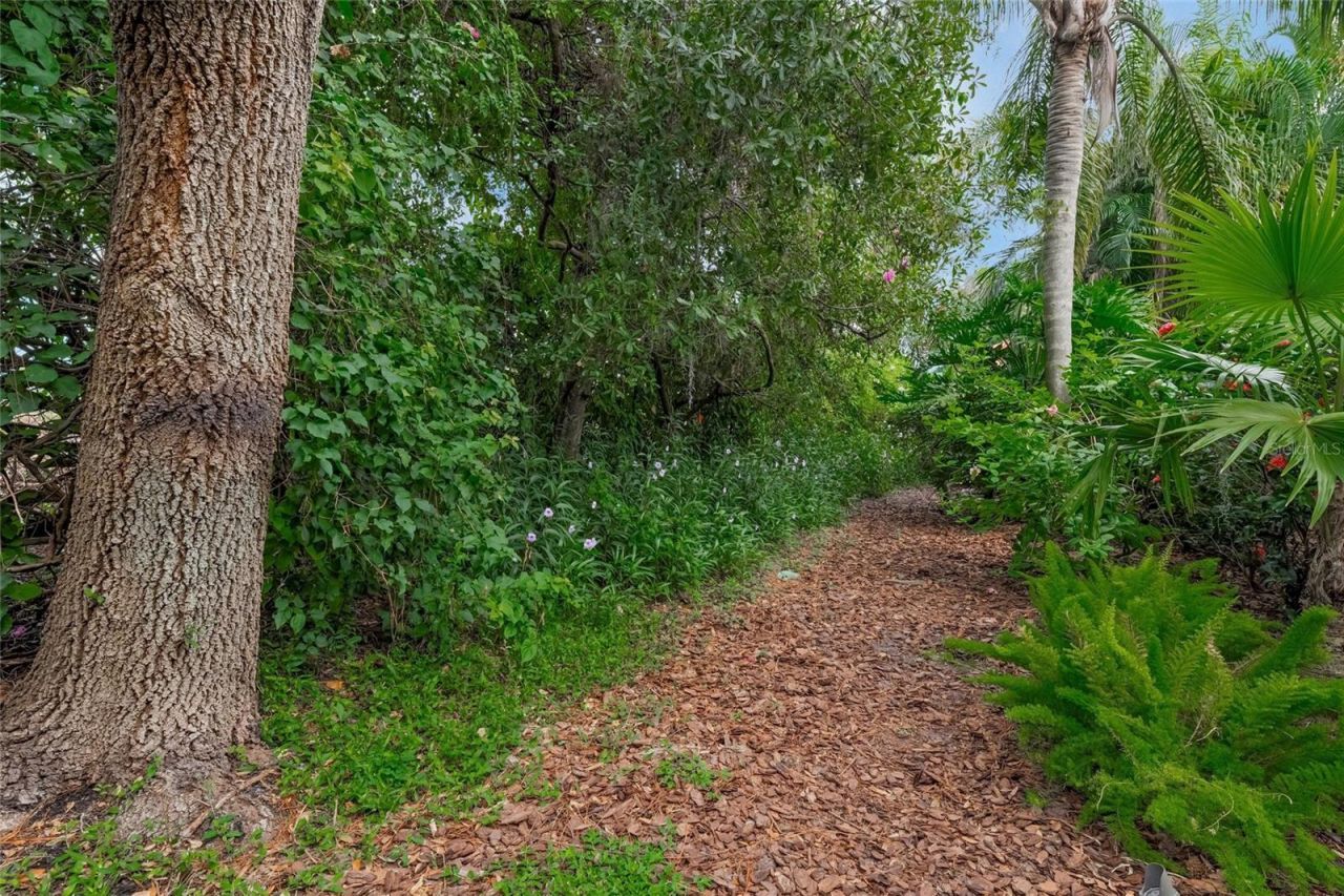 3711 Eagle Hammock Drive, Sarasota, FL 34240 Photo