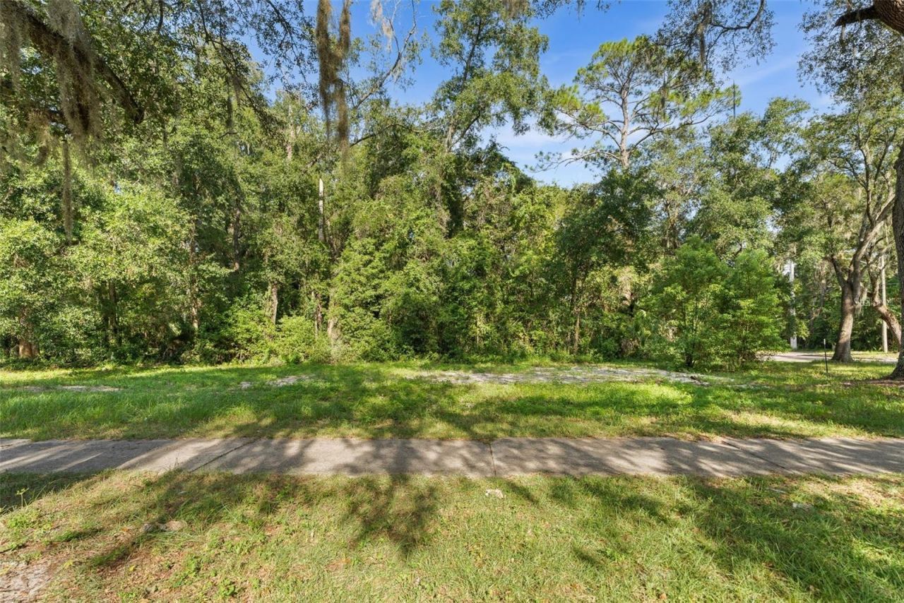 245 SE 15th Street, Gainesville, FL 32641 Photo