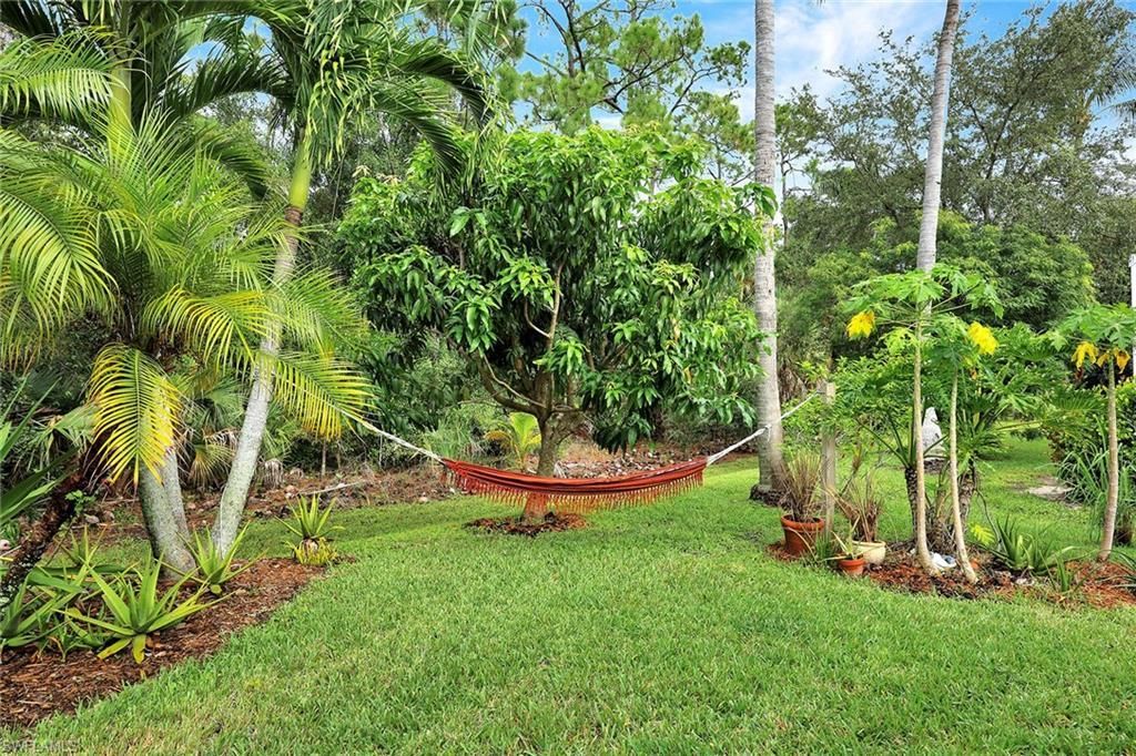 13740 Magnolia Lake Ct, Fort Myers, FL 33907 Photo