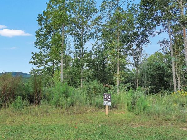 LT 272 Highgrove Drive, Talking Rock, GA 30175