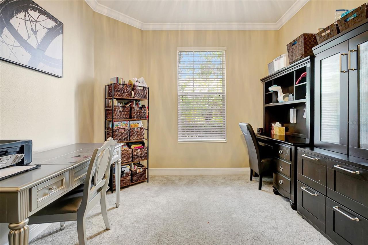 808 River Hammock Boulevard, Brandon, FL 33511 Photo