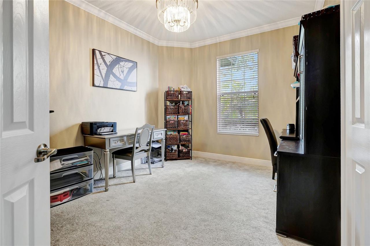 808 River Hammock Boulevard, Brandon, FL 33511 Photo