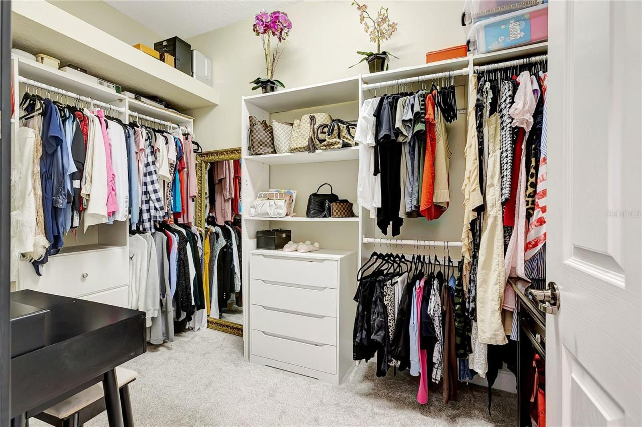 808 River Hammock Boulevard, Brandon, FL 33511 Photo