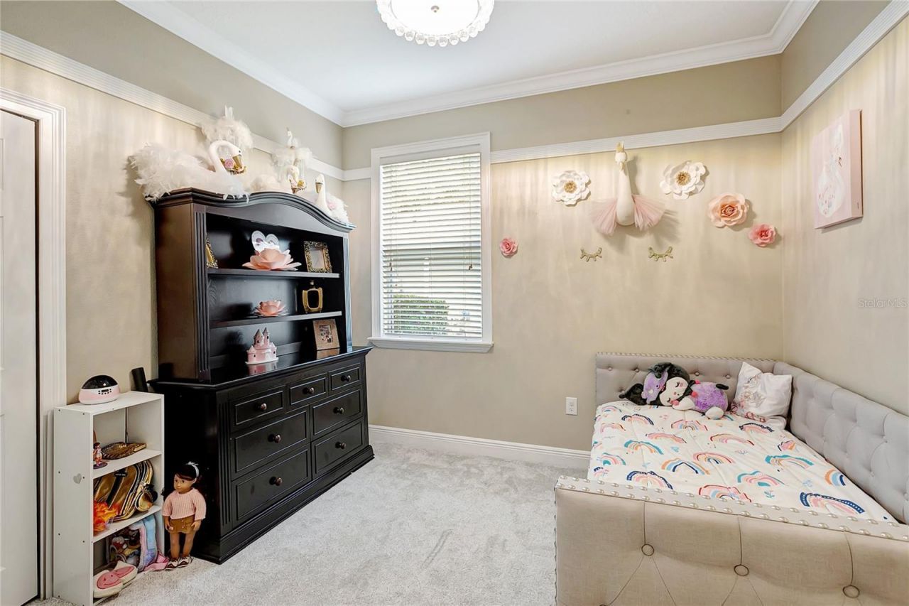 808 River Hammock Boulevard, Brandon, FL 33511 Photo