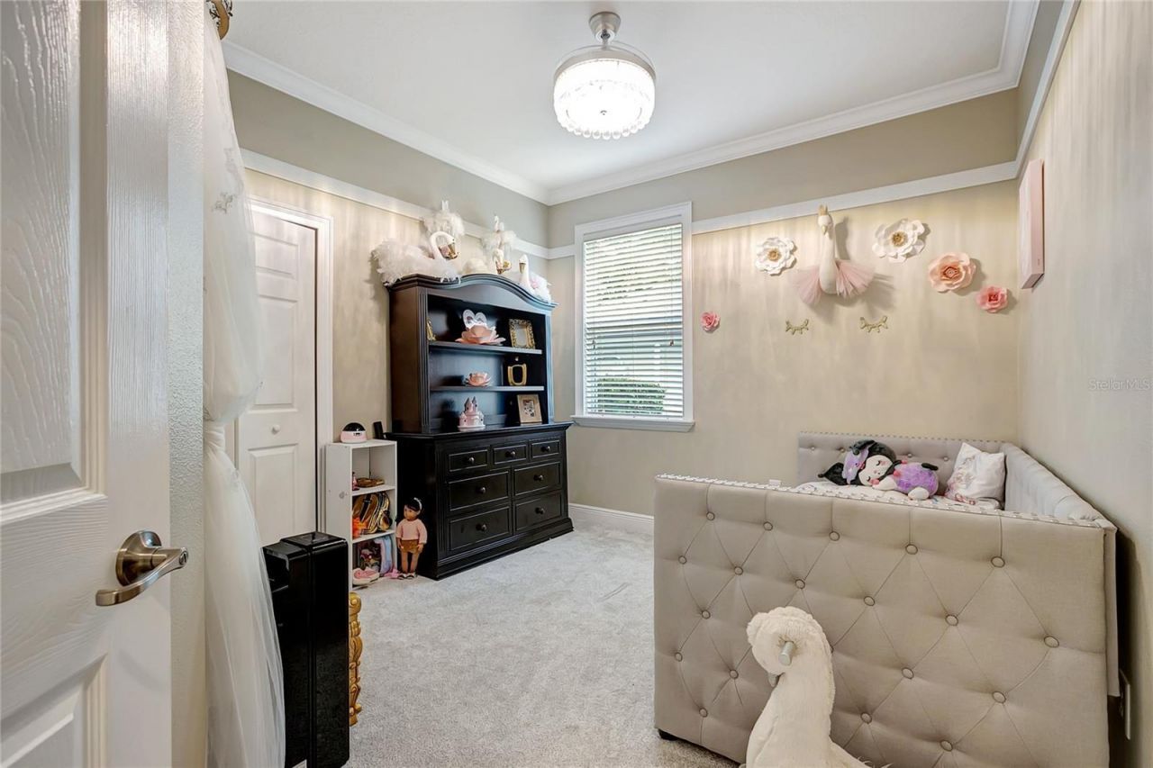 808 River Hammock Boulevard, Brandon, FL 33511 Photo