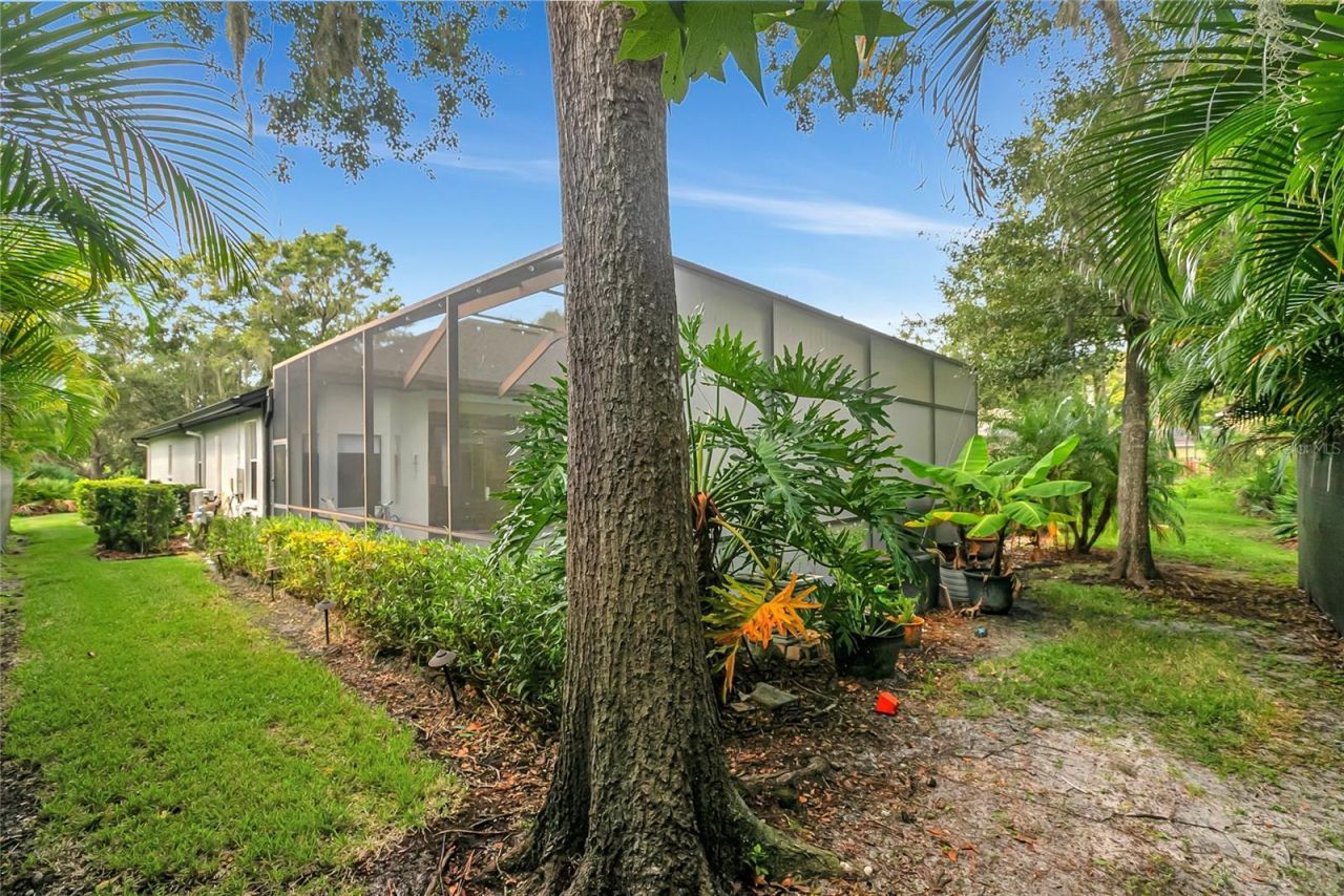 808 River Hammock Boulevard, Brandon, FL 33511 Photo