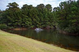 269 Walden Lake Rd. photo 4