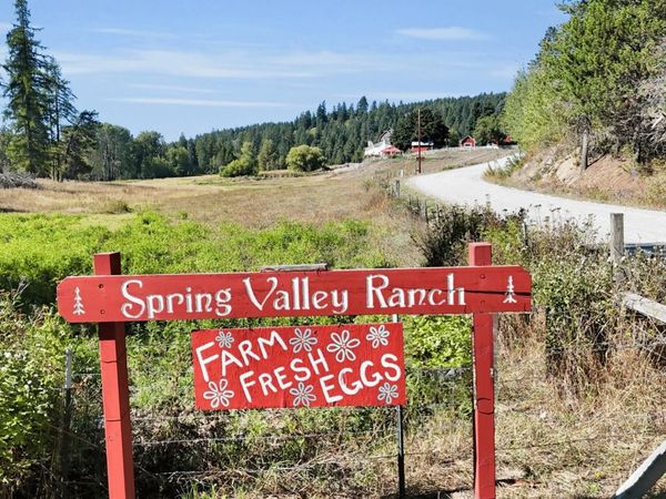 131 Country Lane Ln, Newport, WA 99156