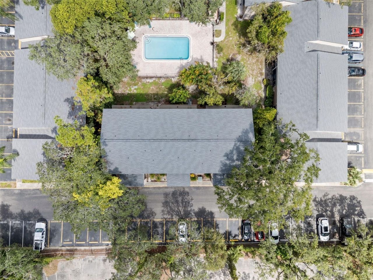 7505 Pitch Pine Circle, Unit 119, Tampa, FL 33617 Photo