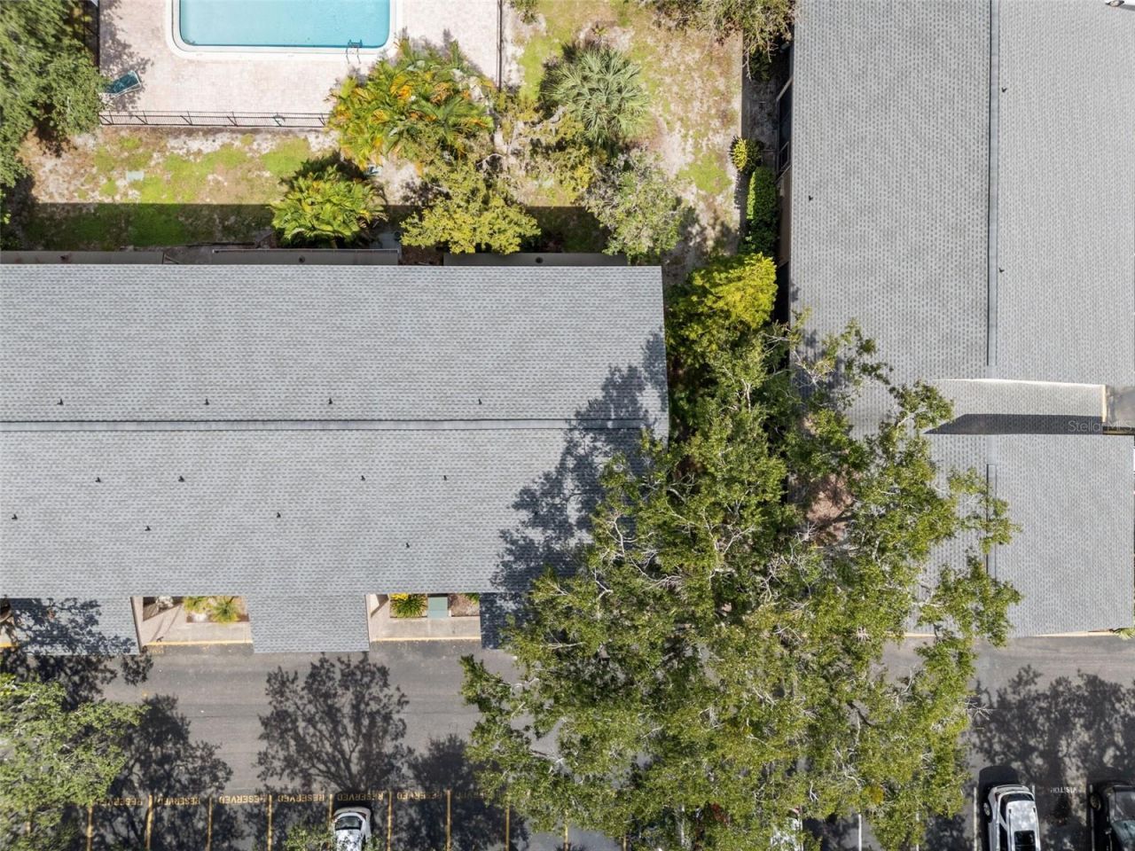 7505 Pitch Pine Circle, Unit 119, Tampa, FL 33617 Photo