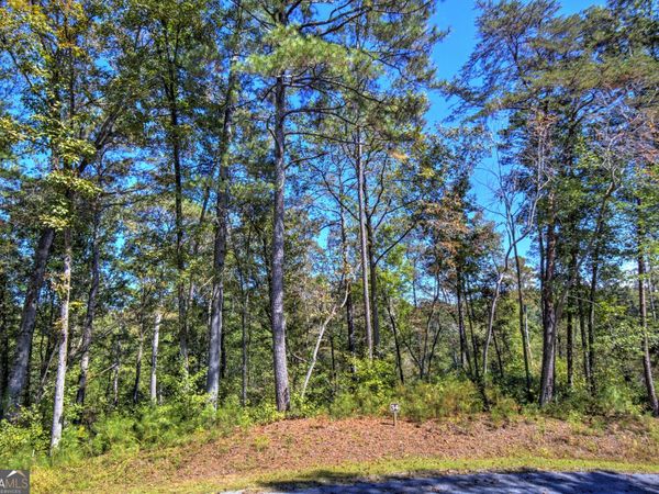 LT 34 Hilton Drive, Ellijay, GA 30540