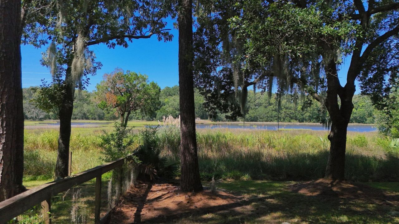 743 Longbranch Drive Photo 29