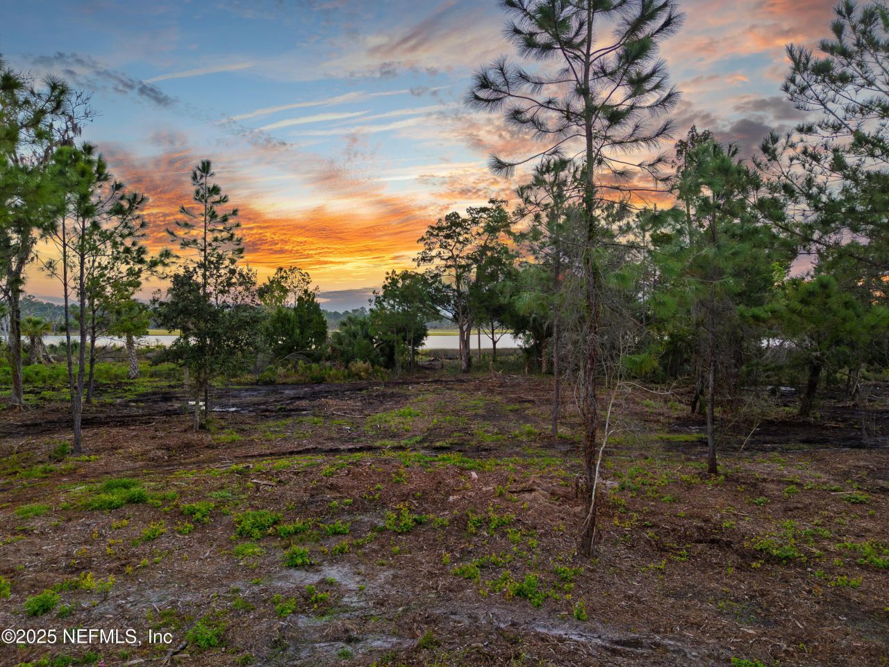 946 S Harbor Lights Drive, Ponte Vedra, FL 32081 Photo