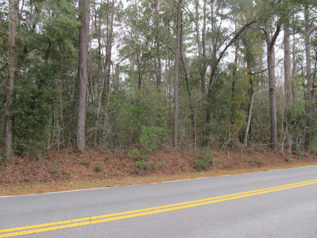 10 Acres Co Highway 183, Ponce de Leon, FL 32455 Main Photo