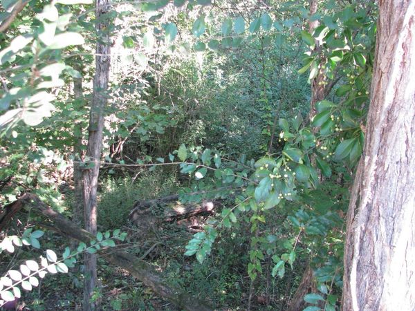 596 High St E, Mc Ewen, TN 37101