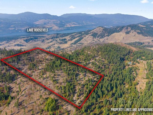 17XX Orin Rice Rd, Rice, WA 99167