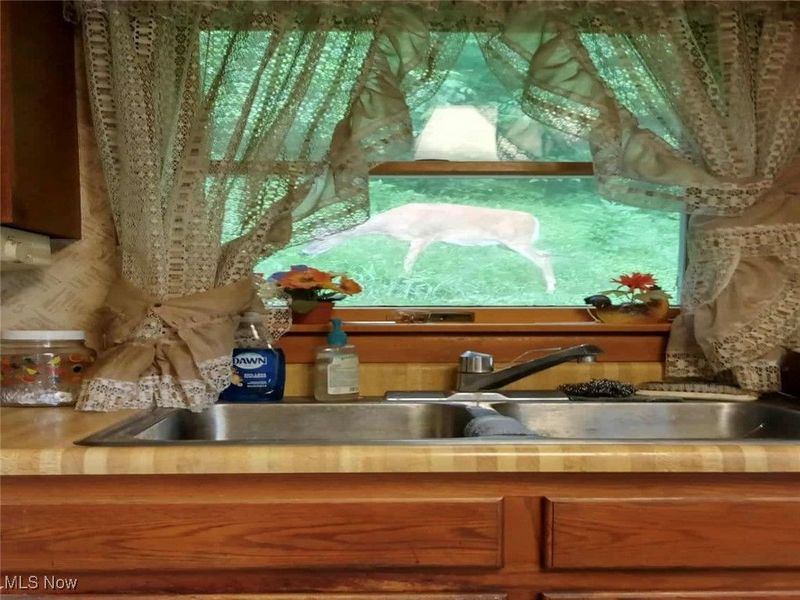 3927 Daisyview Street, Shadyside, OH 43947 Photo 20