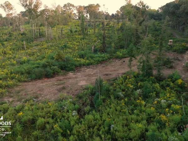 02 Edwards Rd, Kosciusko, MS 39090