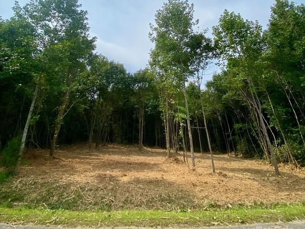 3 Erwin Temple Church Road, Woodleaf, NC 27054