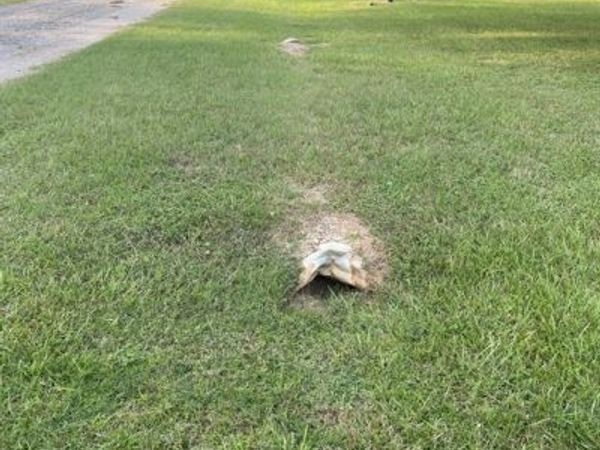 41and42 Lisa Lane , Streetman, TX 75859