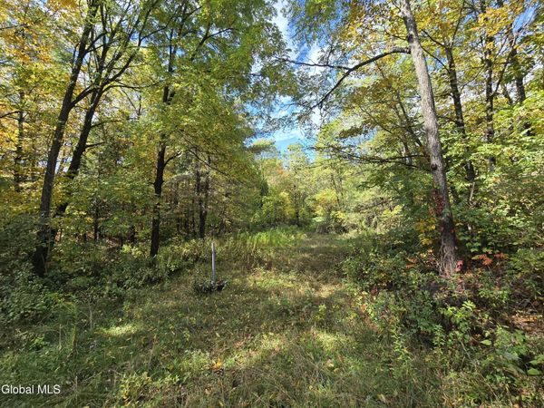 355 Grange Road, Greenfield Center, NY 12833