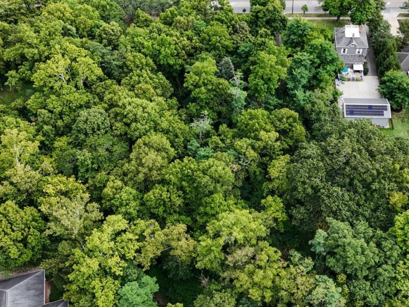 1239 Springfield Pike, Wyoming, OH 45215 Photo 10