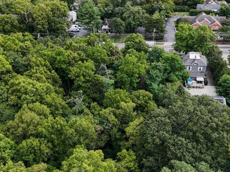 1239 Springfield Pike, Wyoming, OH 45215 Photo 11