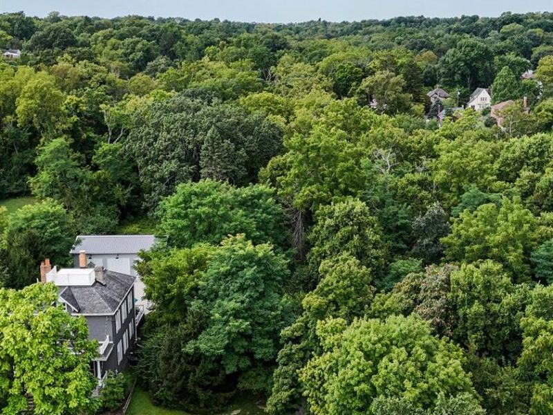 1239 Springfield Pike, Wyoming, OH 45215 Photo 12